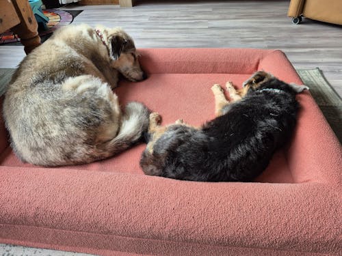 Pullover Hoes Antraciet