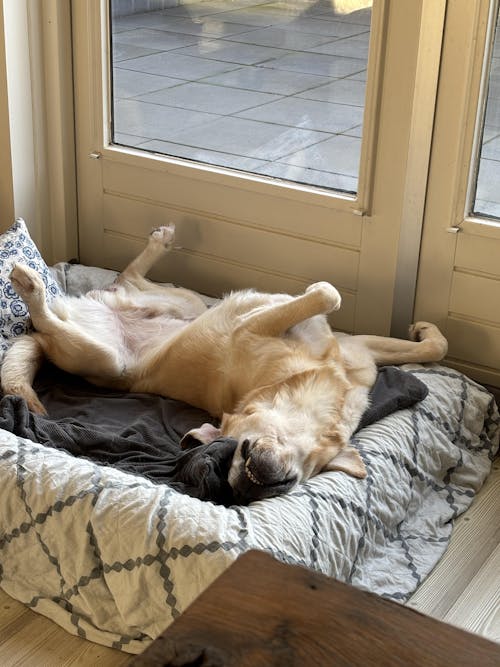 Pullover Hoes Antraciet