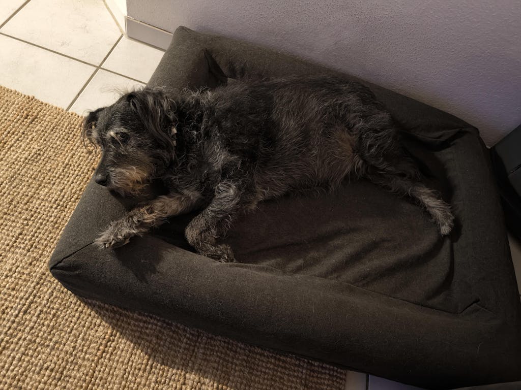 Pullover Hoes Antraciet