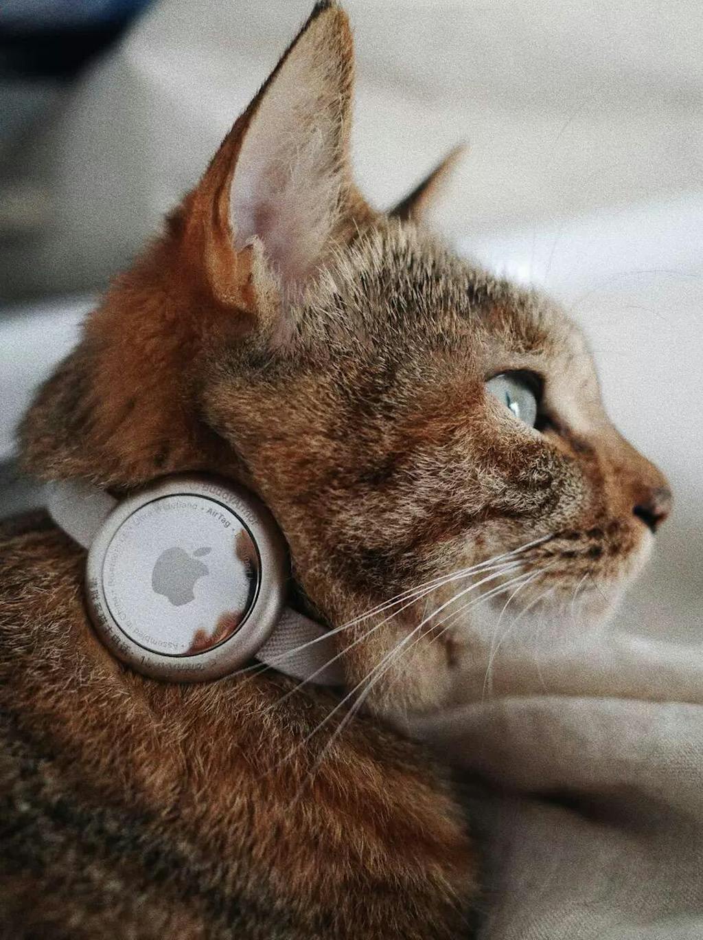 Minimal AirTag Holder