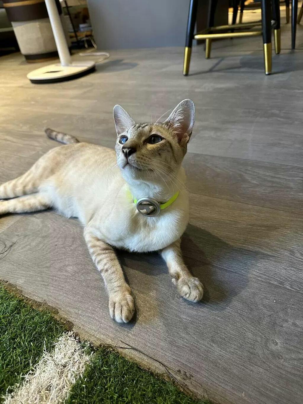 Minimal AirTag Holder