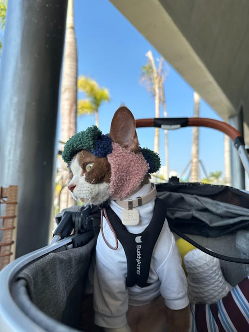 Escape-Proof Y-Shape Harness