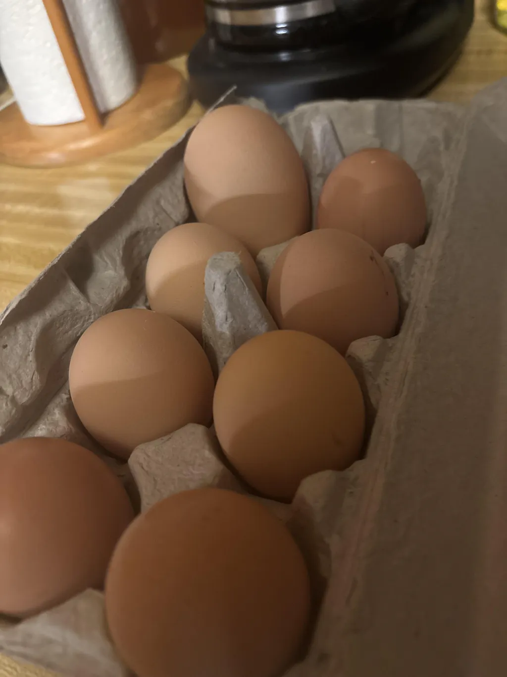 Herb Supplement For Backyard Chickens