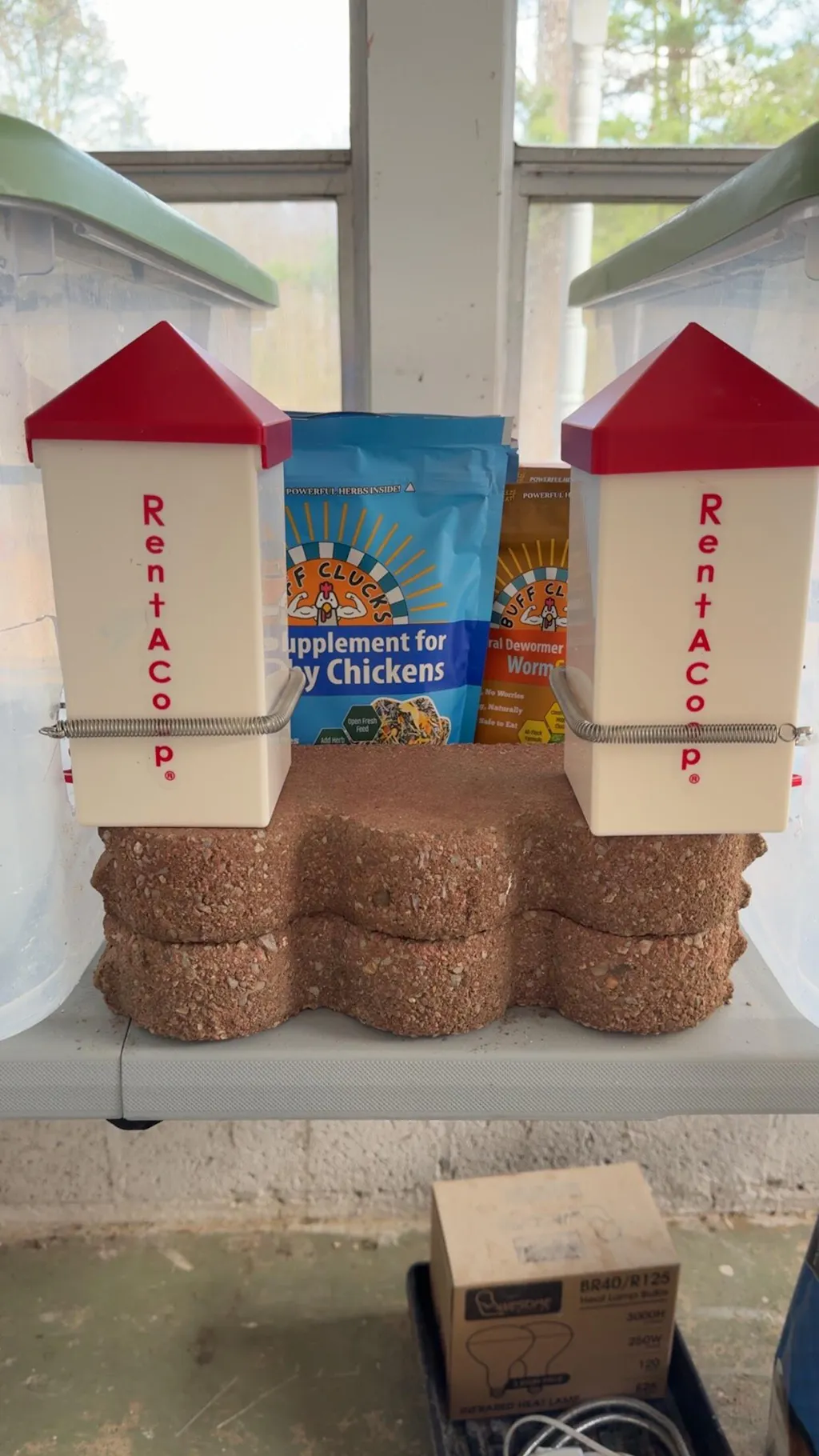 ChickStrong - Herbal Support for a Strong Start