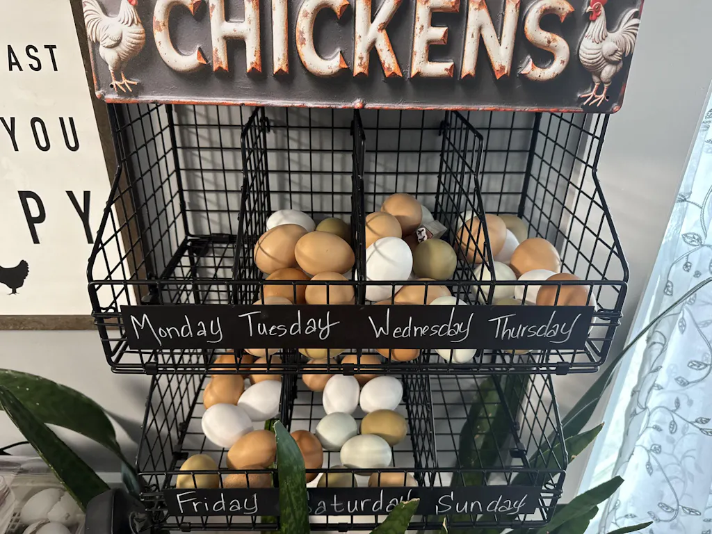 Herb Supplement For Backyard Chickens