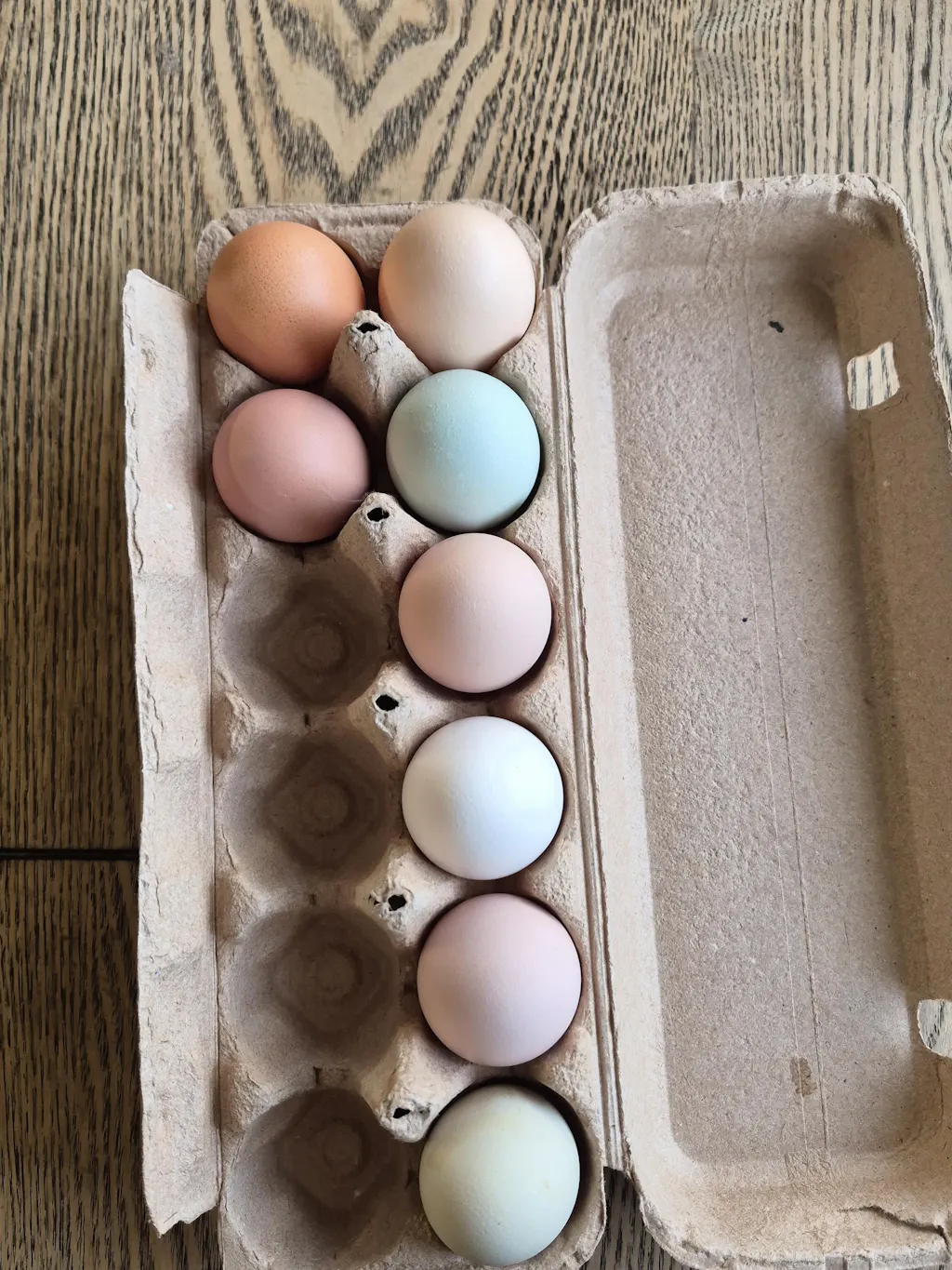 Herb Supplement For Backyard Chickens