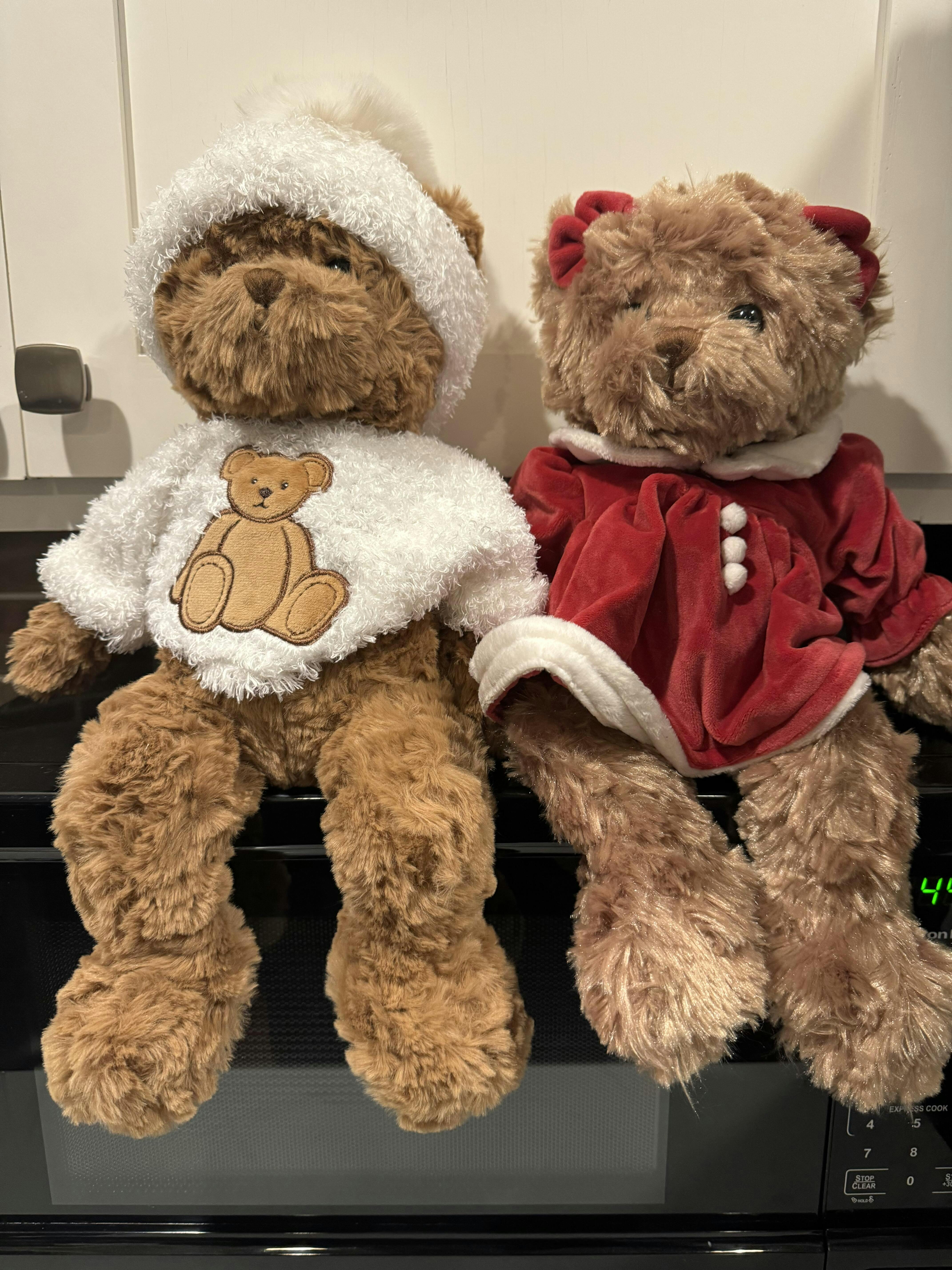 Celine – Bukowski Bears