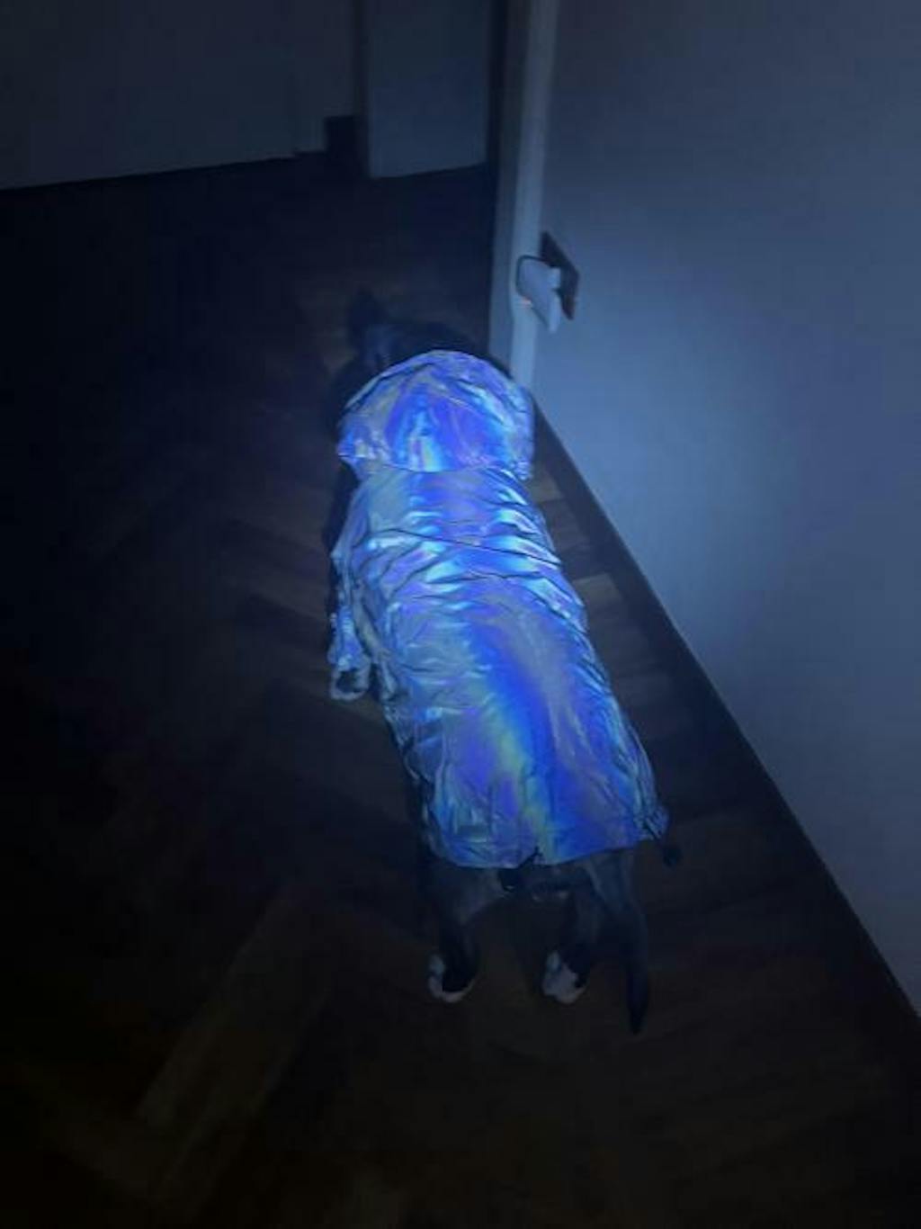 Reflective Dog Coat