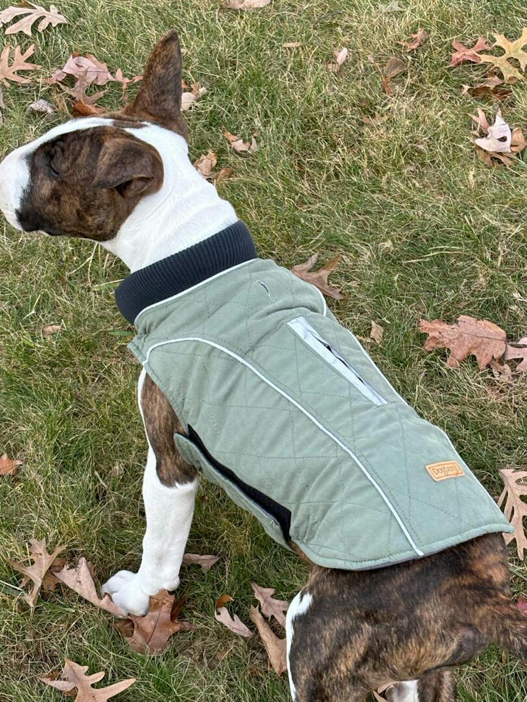 Waterproof Vest With Elastic Collar