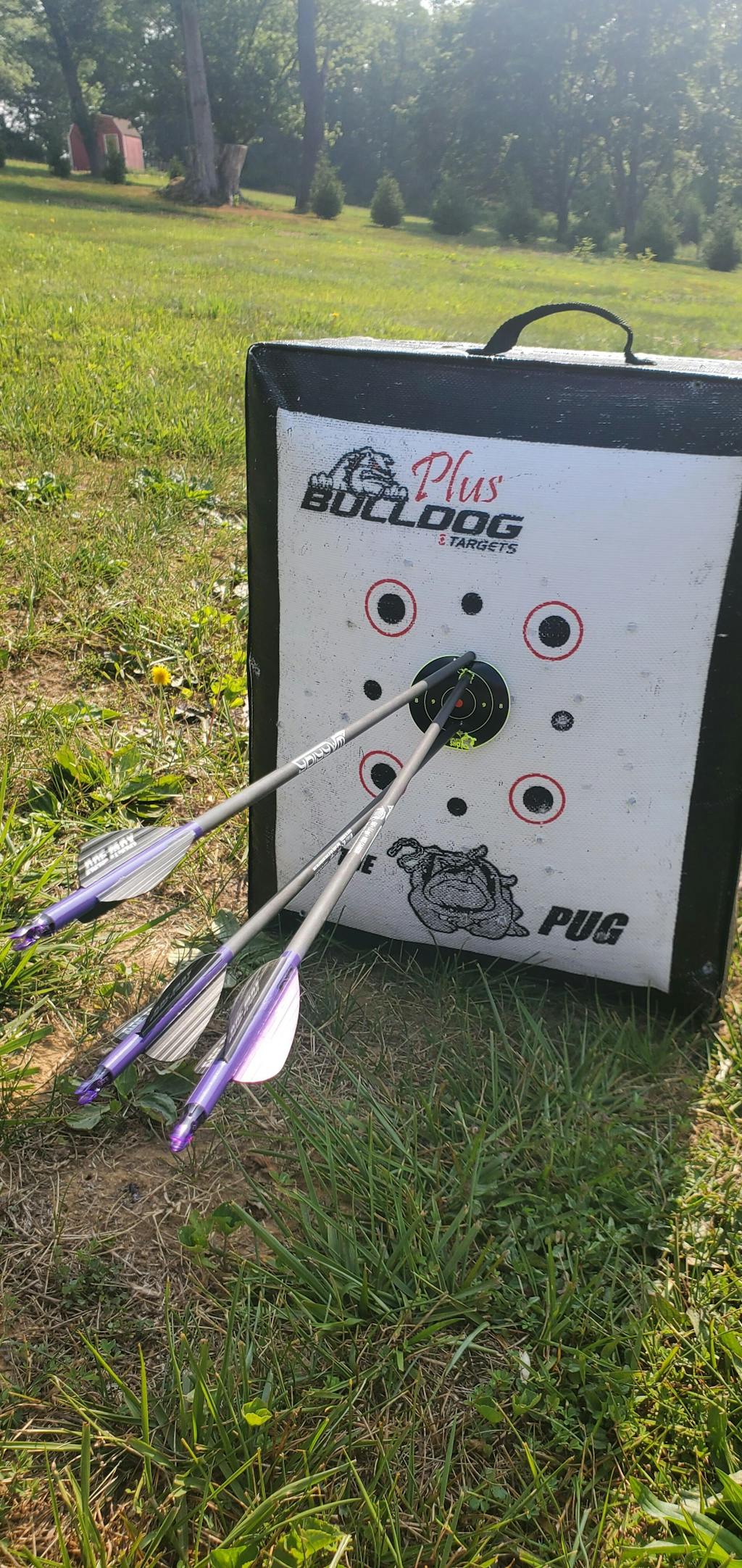 Doghouse Pug Archery Target LIFETIME WARRANTY