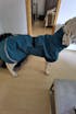 Hundepullover Goldpaw Stretch Fleece Grau