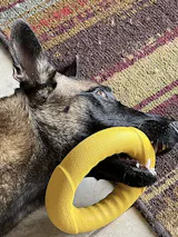 Power Duo - Tug Ring and Fetch Ball (Dog Toy Set)