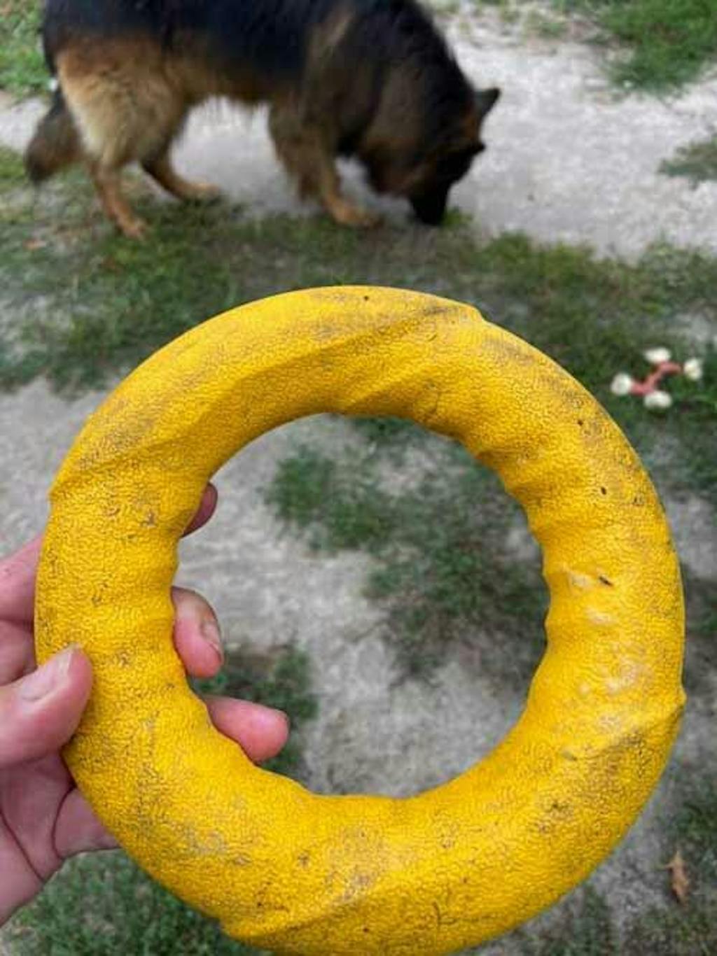 Ring Dog Toy + Dog Fetch Ball Tough Toys for Power Chewers