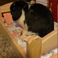 Design Your Own 100% Cotton Bunny Bedding Set for the Ikea Duktig Doll Bed