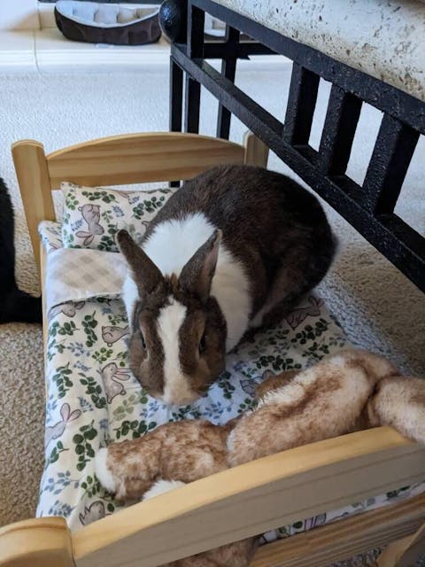 Design Your Own 100% Cotton Bunny Bedding Set for Wood Bunny Beds