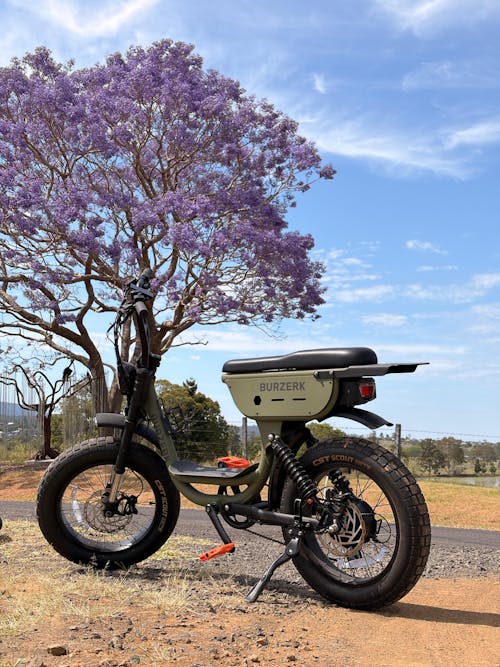 Cosmos | Electric Bike