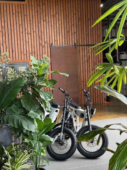 Genesis | Electric Bike