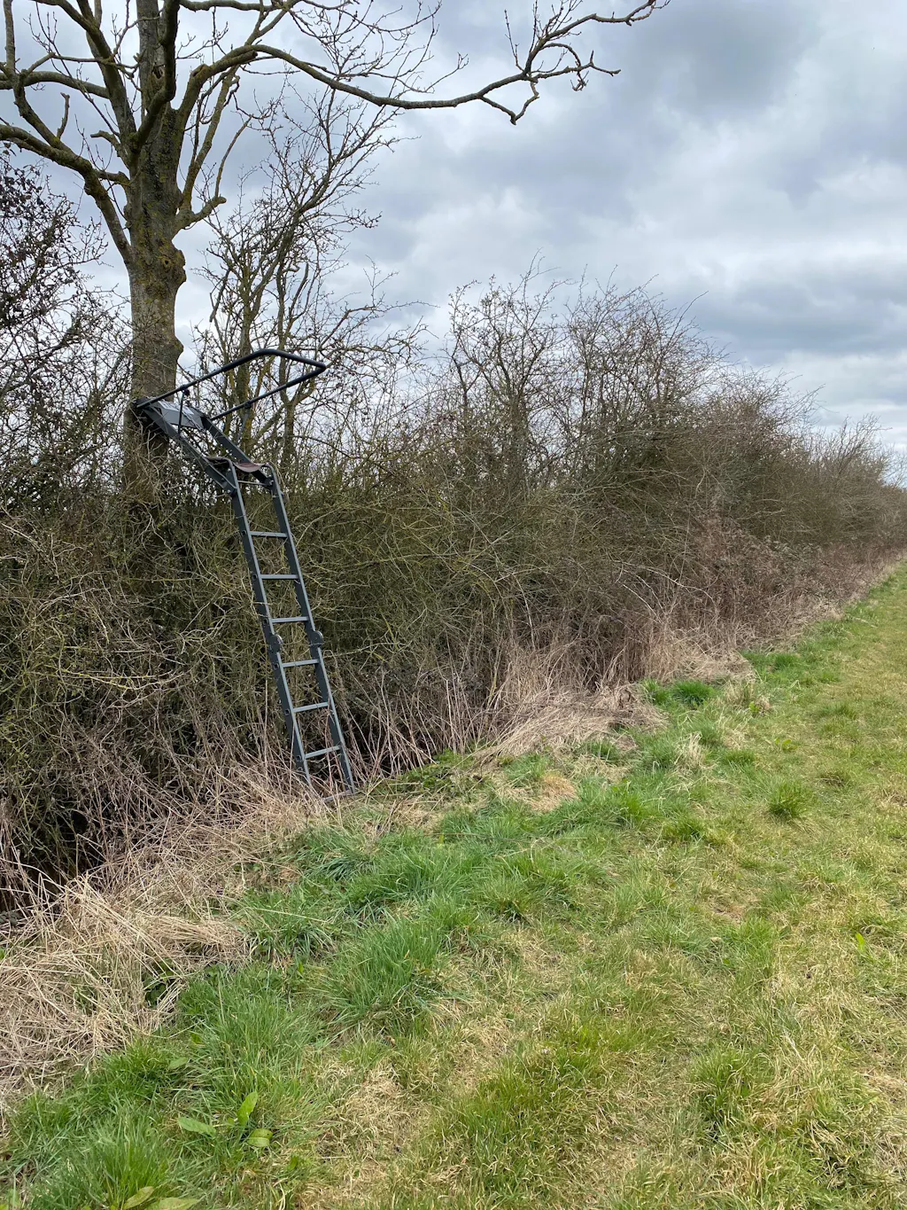 Rifle Rests | Hunting & Shooting Gun Rests | BushWear UK