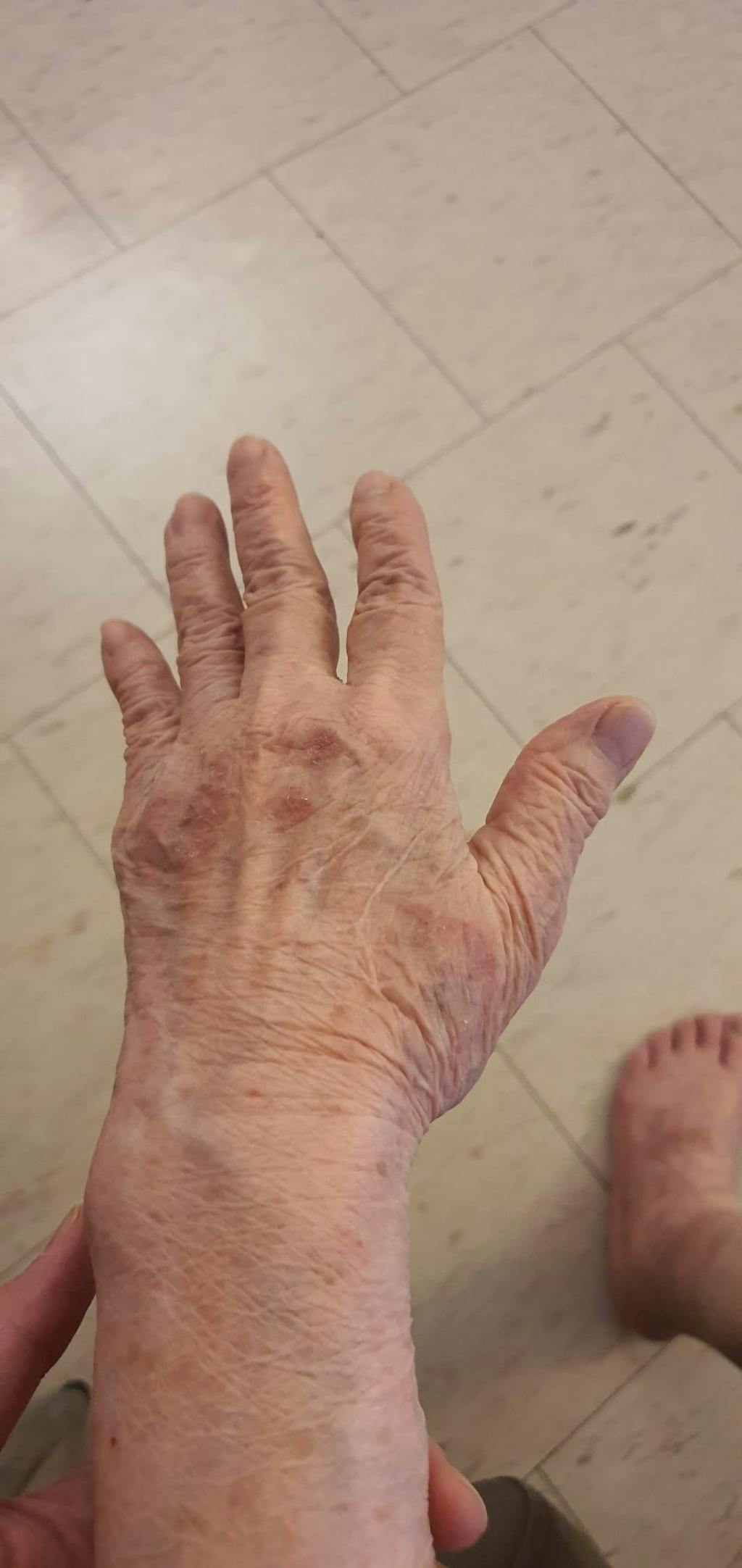 Shea & Cocoa Natural Face and Body Butter