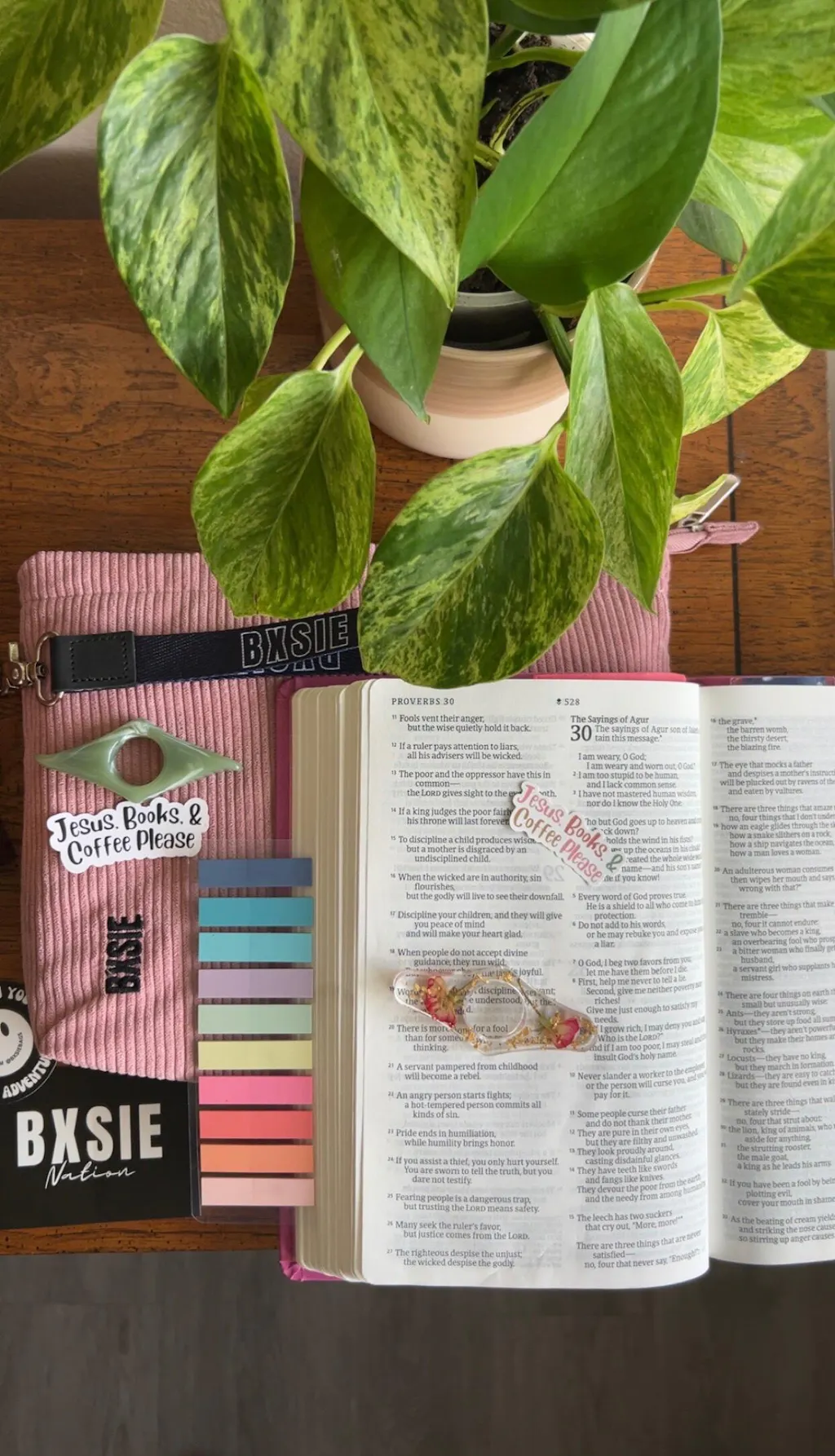 Paperback Book Pouch – Reader Organizer in Latte – BXSIE