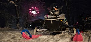 RZ Razor Performance Trail Snowmobile Skis