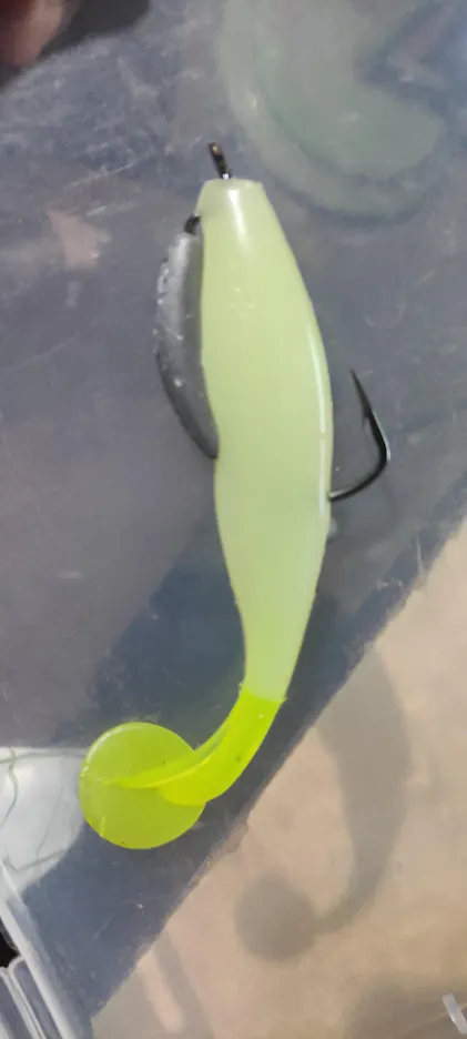 Trakker Hooklink Clingas – 12 Terminali Per Pesca Grossa (carpa, Luccio, Orata, Barbio)