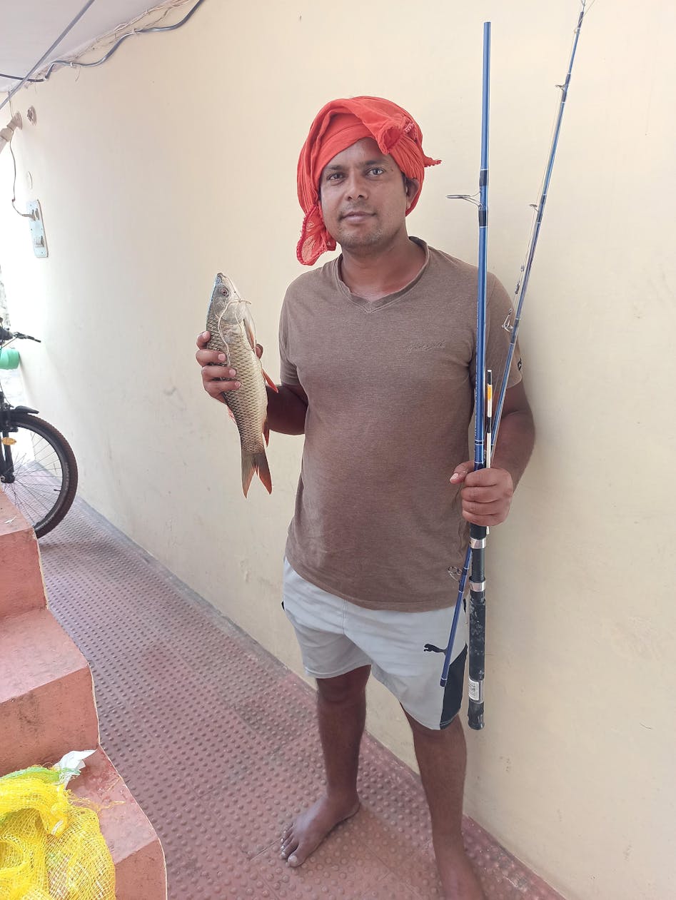 Daiwa Phantom Catfish PHC-902 Black, Silver Fishing Rod Price in India -  Buy Daiwa Phantom Catfish PHC-902 Black, Silver Fishing Rod online at