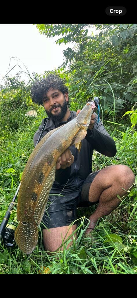 Lucana Reno II PE X9 Braid Line 150M | Cabral Outdoors | Rs. 900