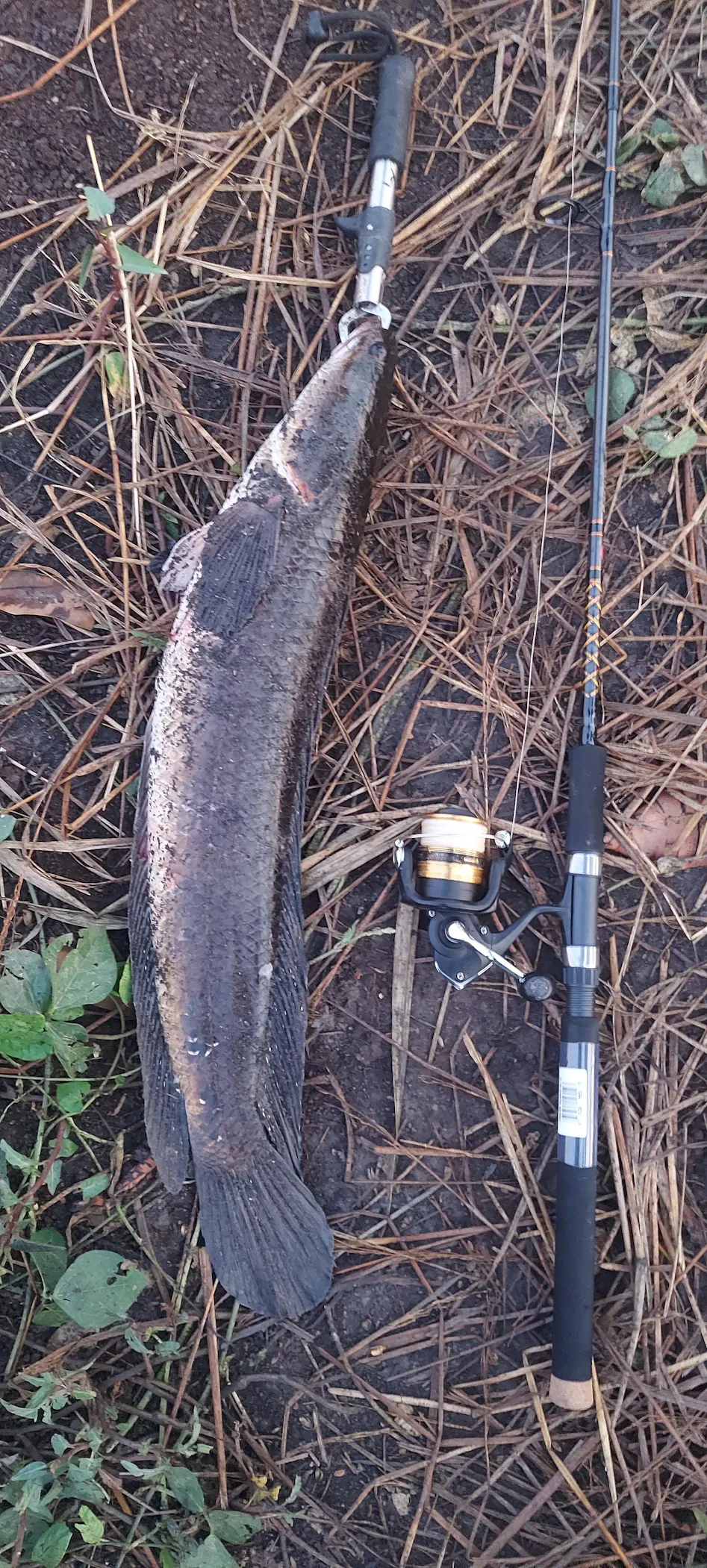 best light tackle spinning combo The Best Spinning Rod and Reel Combos of 2026