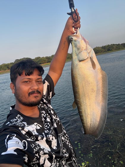 reddish brown J&S 黒 オーバーオール リネン　phigvel reddish brown J&S 黒 オーバーオール リネン phigvel