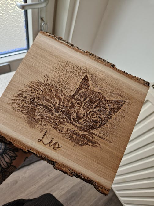 Getekend en Gebrand Portret van Jouw Kat op Hout met Schors - Pyrografie - Foto Houtbranden