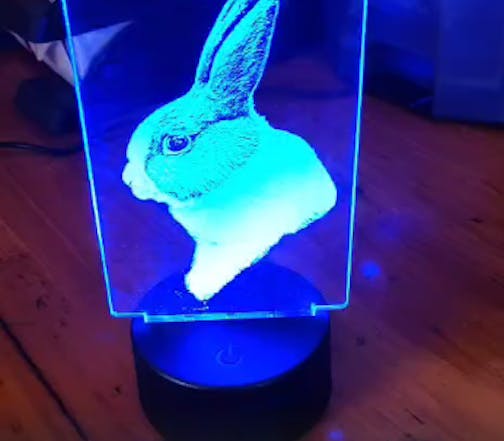 LED lamp hond - kat - Gepersonaliseerd Cadeau Huisdier