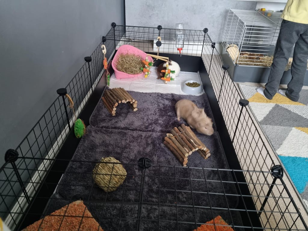 Standard Black 9x9 C&C Grid Panel Cage Creations