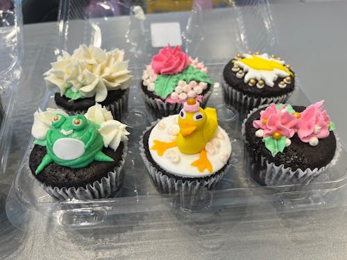 Create Your Own Cupcake Kit - Open Studio Time