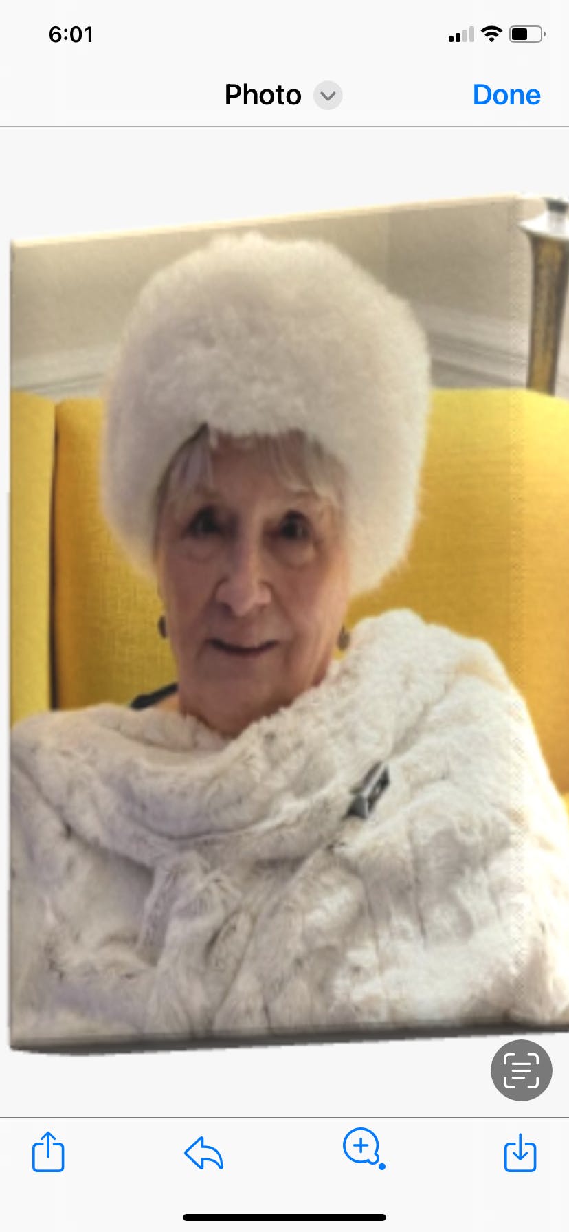 CAKES Body Reusable, Washable, NonAdhesive Silicone Inserts CAKES body