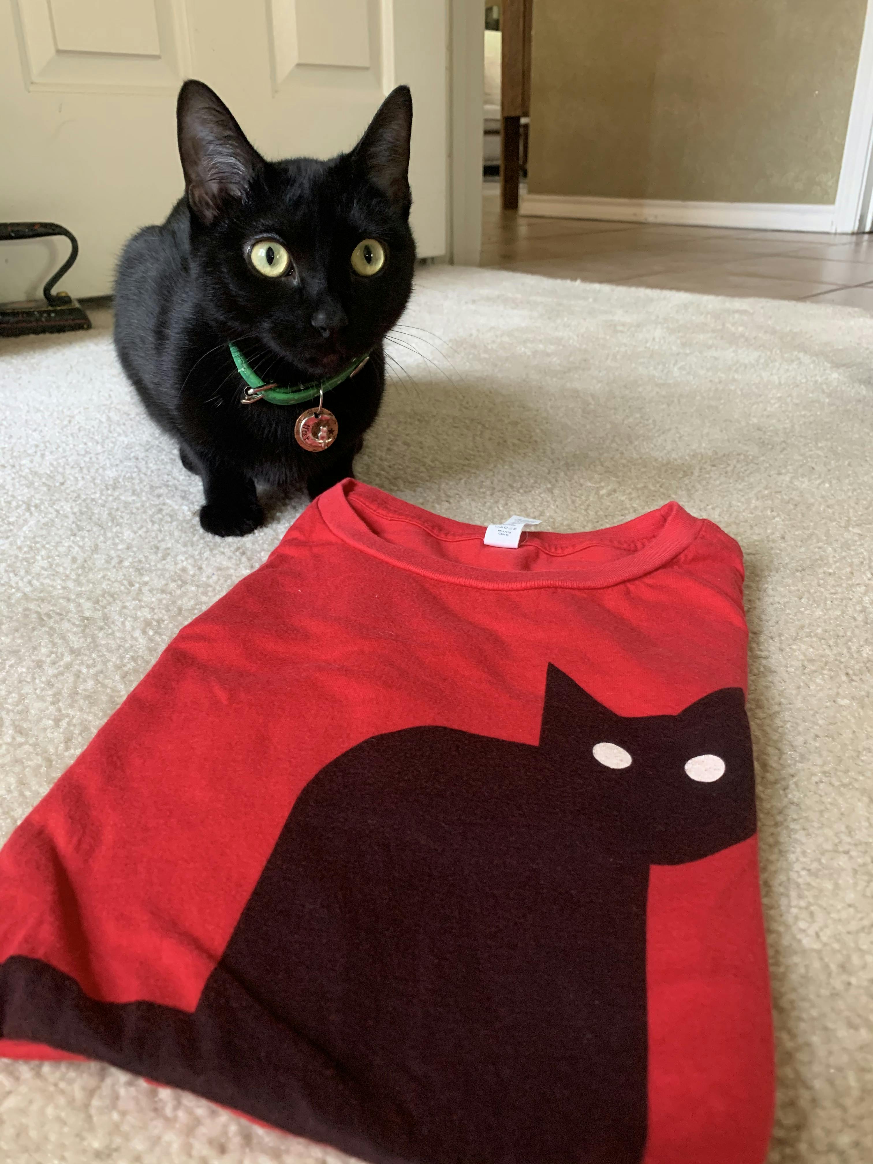 Calamityware Cat Women's T-Shirt