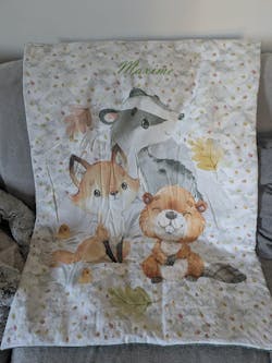 Couverture Plaid Bébé Amis Câlins | 70cm x 95cm | Couleur minky au choix