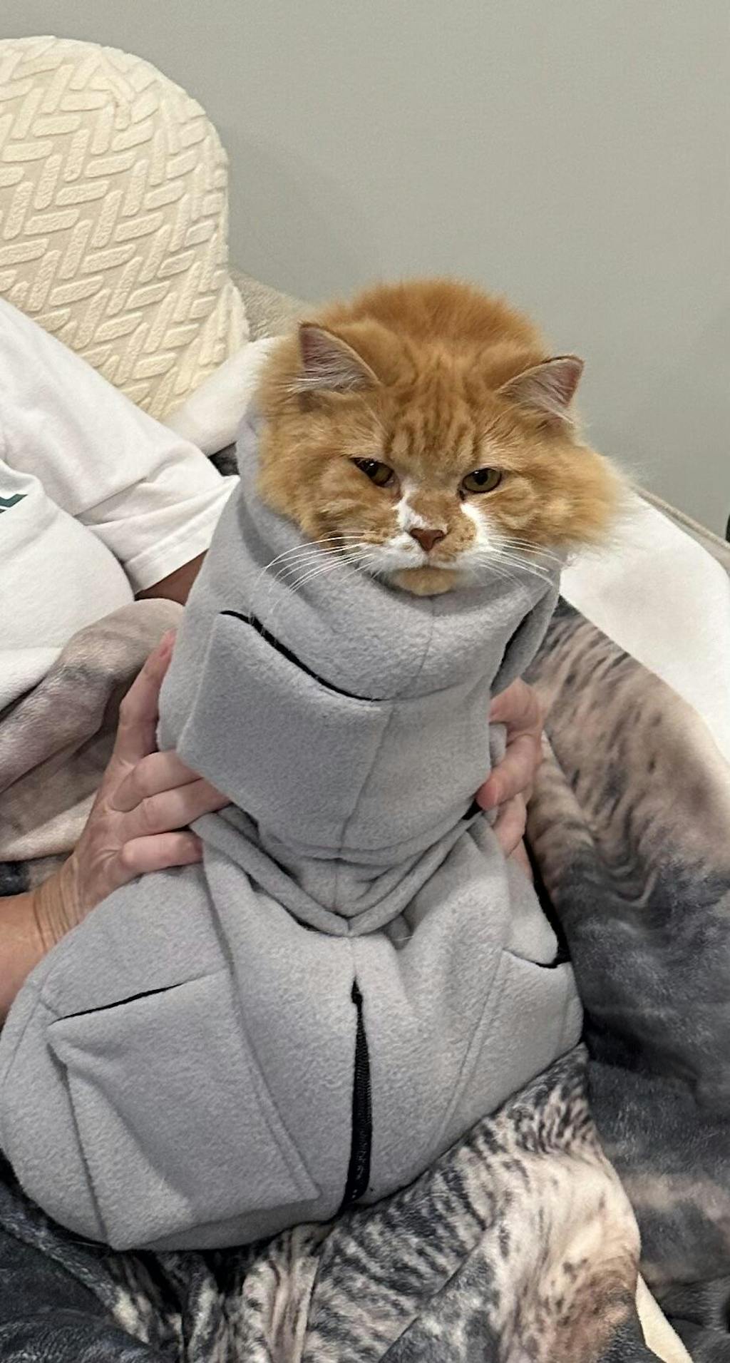 Calm & Cozy Cat Wrap Pro Medium