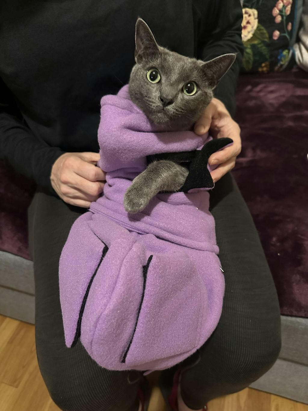 Calm & Cozy Cat Wrap Pro Medium