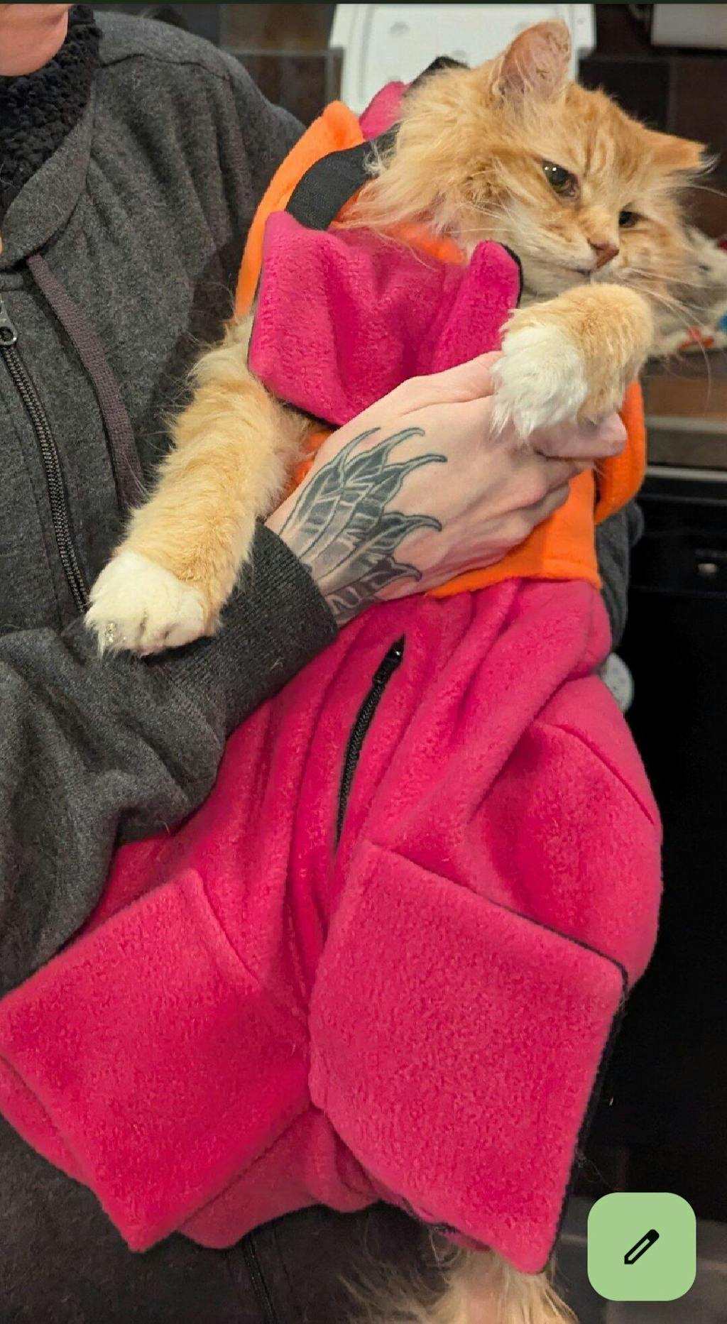 Calm & Cozy Cat Wrap Pro Large