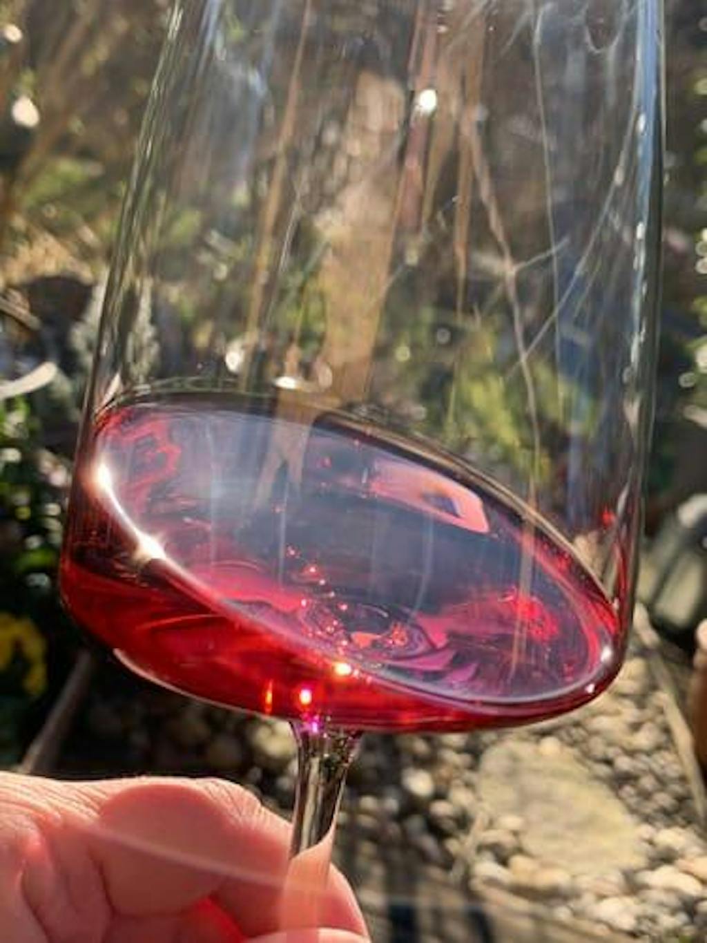 Probierpaket - alle vier Sorten entdecken