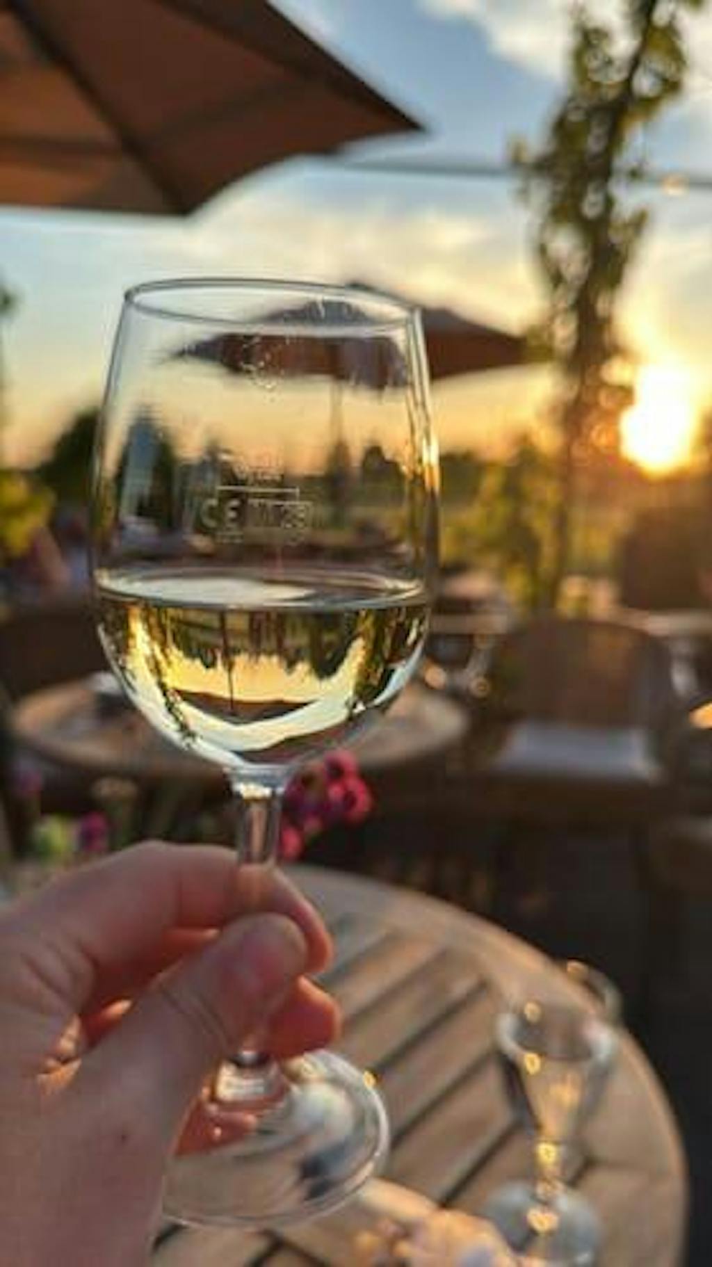 Probierpaket - alle vier Sorten entdecken