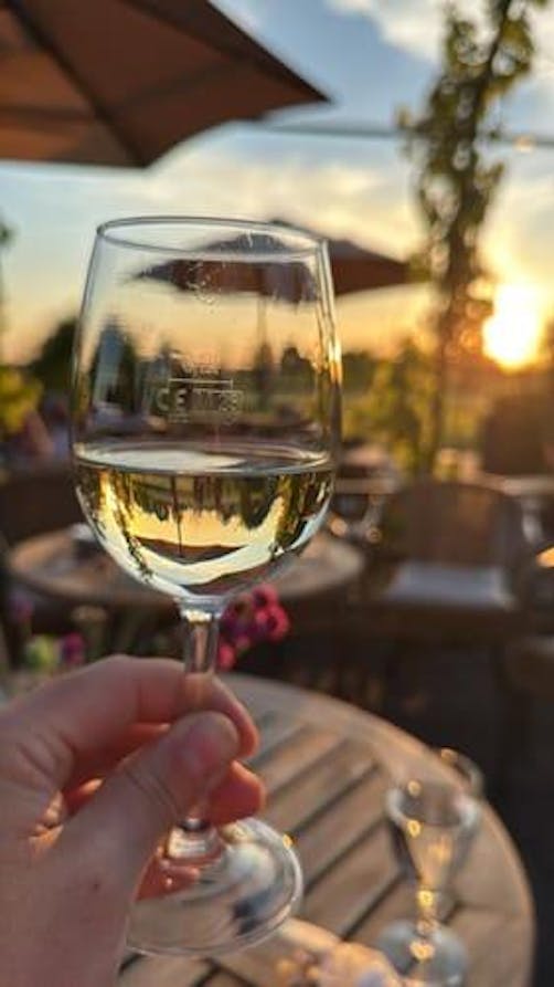 Probierpaket - alle vier Sorten entdecken