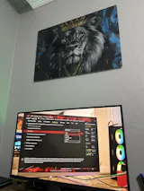 User picture