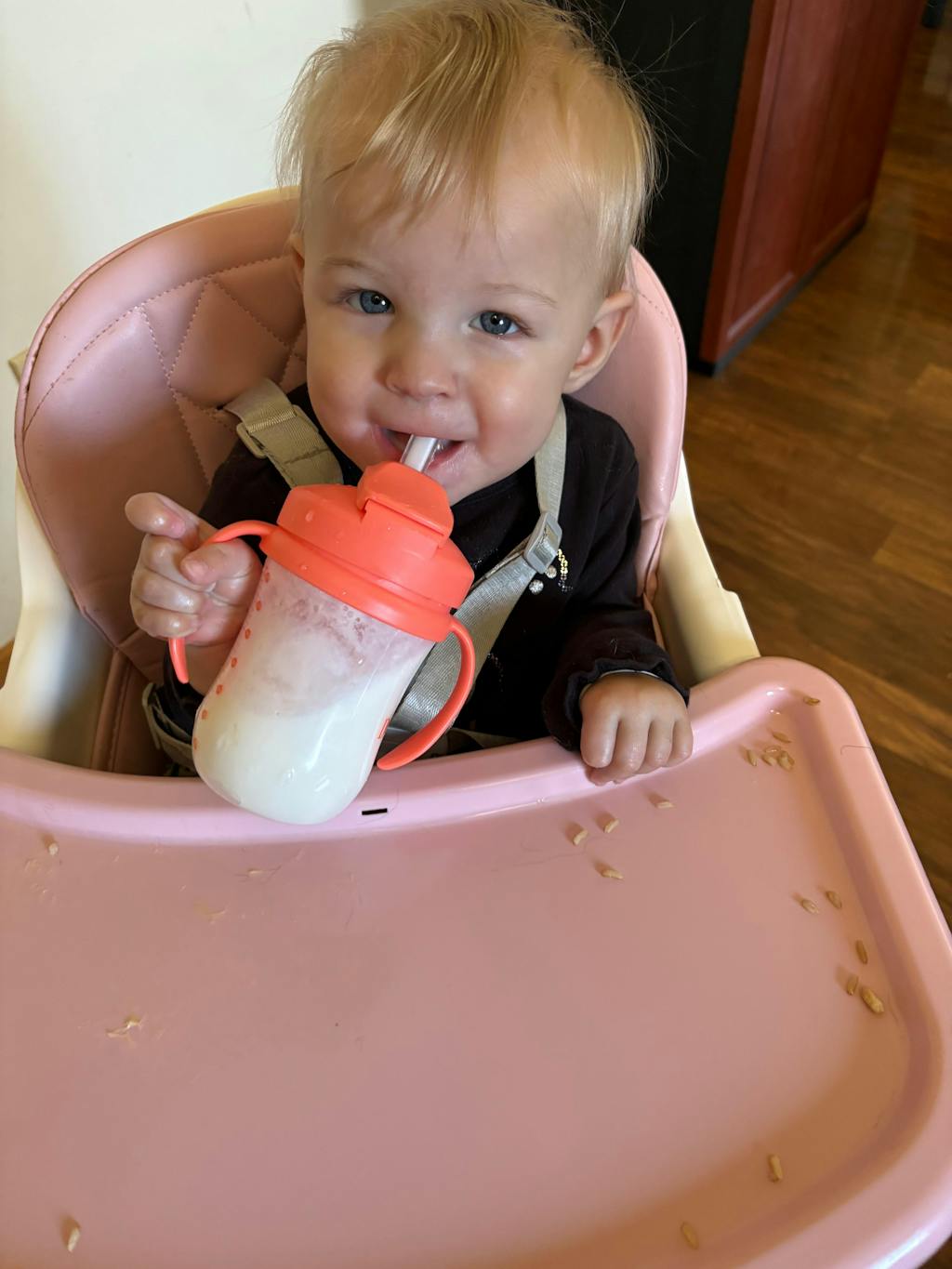 Camel Milk Pint (16 oz)