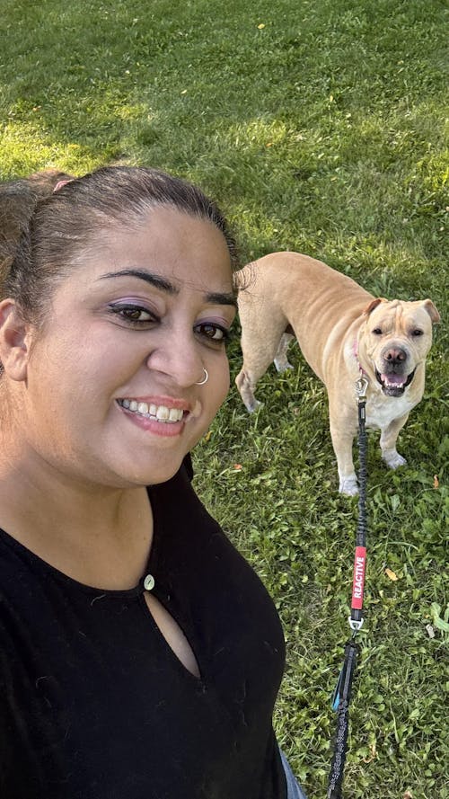 Multifunctional Bungee Leash Attachment