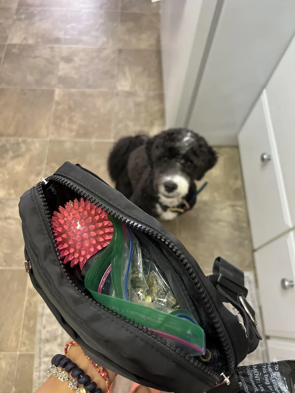 DuoPouch: Double Compartment Silicone Insert for The Daily Trainer Bag
