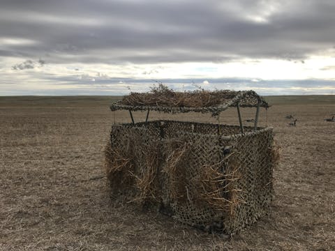 Digital Desert Military Reinforced Camo Netting