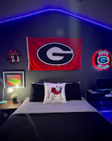 UGA Standing Bulldog Pillow Cover