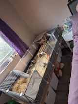 HayMate - 2x1 Left Hand Opening - Grey (Revised)